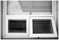 Prairie and hammock, Shark Valley visitor center window reflexion. Everglades National Park ( black and white)
