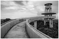 Shark Valley observation tower. Everglades National Park ( black and white)
