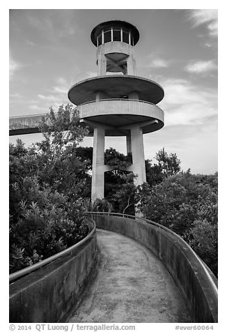 Observation tower, Shark Valley. Everglades National Park (black and white)