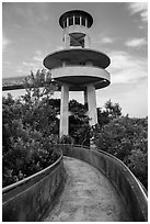 Observation tower, Shark Valley. Everglades National Park ( black and white)