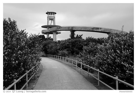 Trail and observation tower, Shark Valley. Everglades National Park (black and white)