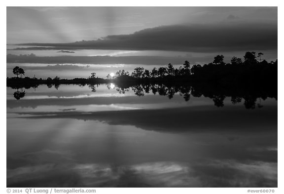 Sunset reflections, Pines Glades Lake. Everglades National Park (black and white)