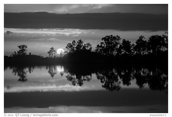 Sun setting, Pines Glades Lake. Everglades National Park (black and white)