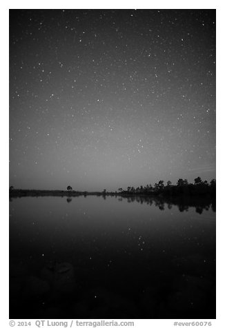Starry night, Pines Glades Lake. Everglades National Park (black and white)