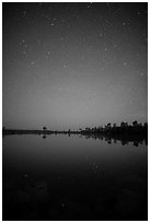 Starry night, Pines Glades Lake. Everglades National Park ( black and white)