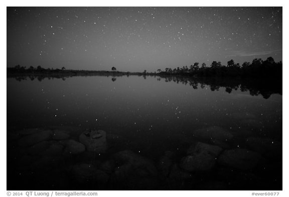 Stars and reflections in Pines Glades Lake. Everglades National Park (black and white)