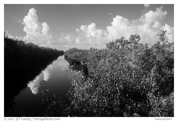 Buttonwood Canal and clouds. Everglades National Park (black and white)