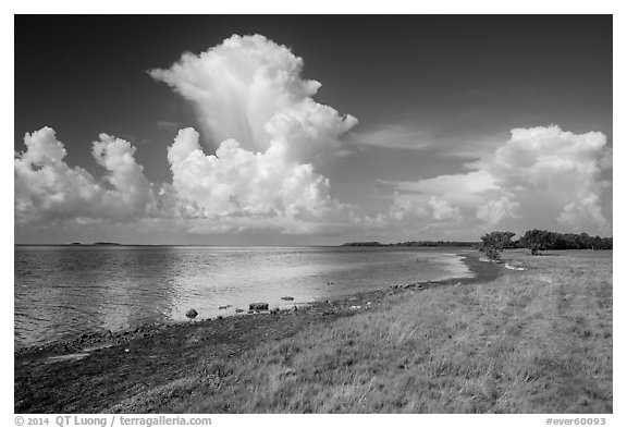 Coastal prairie, Florida Bay, and clouds. Everglades National Park (black and white)