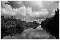 Buttonwood Canal and rain clouds. Everglades National Park ( black and white)