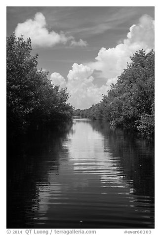 Canal, clouds, and reflections. Everglades National Park (black and white)