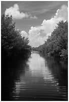Canal, clouds, and reflections. Everglades National Park ( black and white)