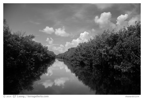 Water-level view of Buttonwood Canal. Everglades National Park (black and white)