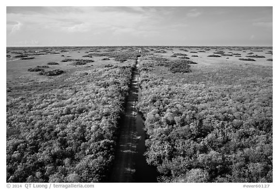 Aerial view of canal and road, Shark Valley. Everglades National Park (black and white)