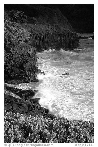Waves and cliffs at Kipahulu, morning. Haleakala National Park, Hawaii, USA.