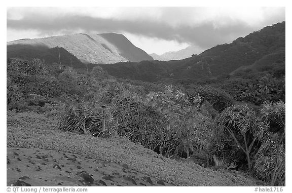 Lush Kipahulu mountains. Haleakala National Park (black and white)