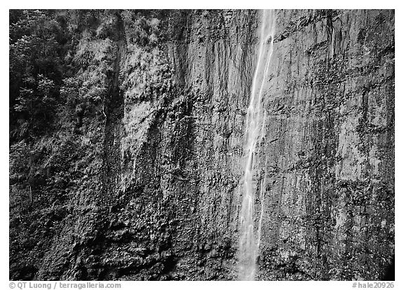 Waimoku Falls, more than 300 feet high. Haleakala National Park, Hawaii, USA.