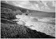 Coast at Kipahulu, morning. Haleakala National Park ( black and white)