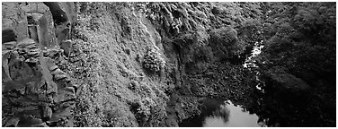 Cliffs with tropical vegetation. Haleakala National Park (Panoramic black and white)