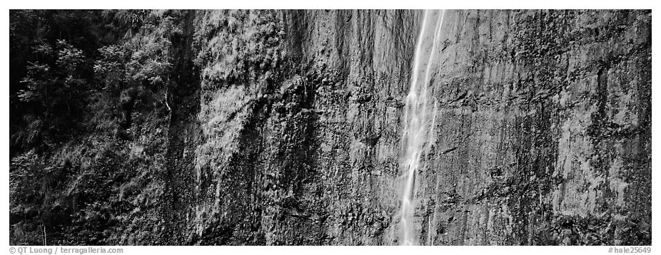 Verdant cliff with tropical waterfall. Haleakala National Park (black and white)