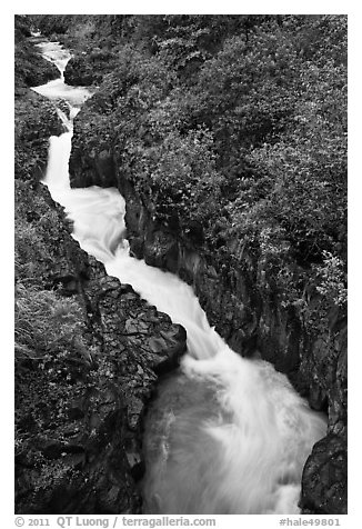 Pipiwai Stream in Oheo Gulch. Haleakala National Park (black and white)
