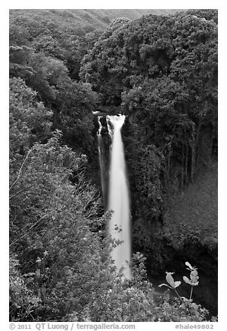 Makahiku Falls. Haleakala National Park (black and white)