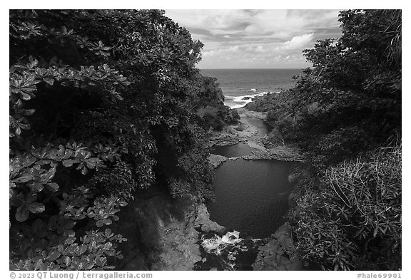 Oheo Gulch and Pacific Ocean,. Haleakala National Park (black and white)