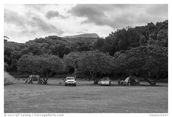 Camping in verdant Kipahulu Campground. Haleakala National Park (black and white)