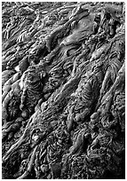 Ripples of hardened pahoehoe lava. Hawaii Volcanoes National Park ( black and white)