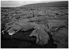 Field of lava flowing at dusk near end of Chain of Craters road. Hawaii Volcanoes National Park ( black and white)