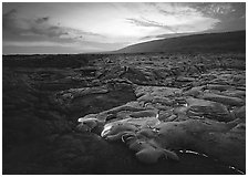 Molten lava flow at sunset near the end of Chain of Craters road. Hawaii Volcanoes National Park ( black and white)