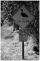 Road sign showing the nene (Hawaiian goose). Hawaii Volcanoes National Park, Hawaii, USA. (black and white)