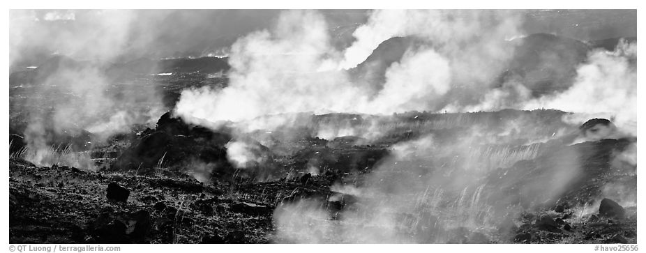 Fumeroles. Hawaii Volcanoes National Park (black and white)
