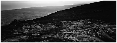 Hardened lava flow overlooking coastal plain, late afternoon. Hawaii Volcanoes National Park (Panoramic black and white)