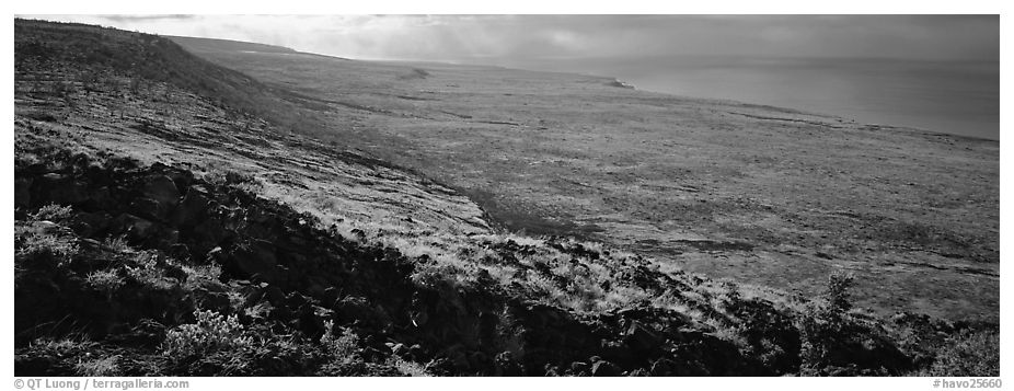 Volcanic landscape with lava rocks. Hawaii Volcanoes National Park (black and white)