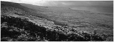 Volcanic landscape with lava rocks. Hawaii Volcanoes National Park (Panoramic black and white)