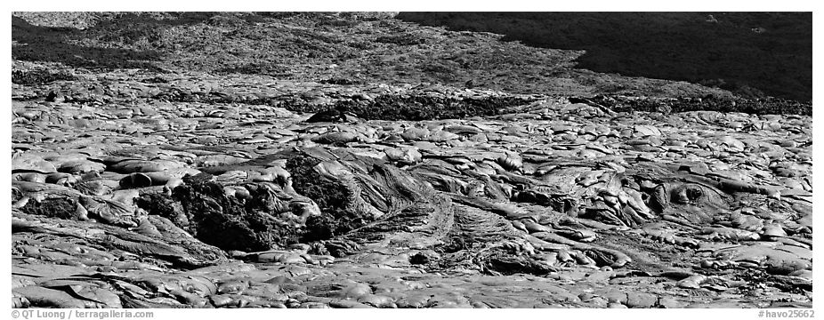 Slope covered with hardened lava flow. Hawaii Volcanoes National Park (black and white)