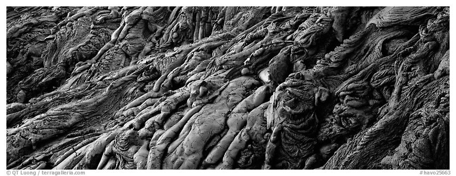 Detail of hardened lava flow. Hawaii Volcanoes National Park (black and white)