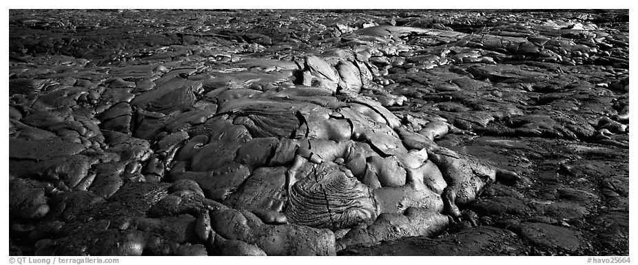 Recently hardened lava flow. Hawaii Volcanoes National Park (black and white)