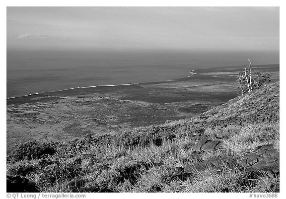 View of the coastal plain from Hilana Pali. Hawaii Volcanoes National Park (black and white)