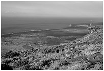 View of the coastal plain from Hilana Pali. Hawaii Volcanoes National Park ( black and white)