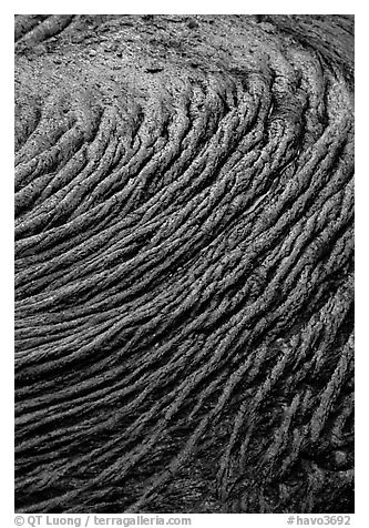 Circular ripples of flowing pahoehoe lava. Hawaii Volcanoes National Park (black and white)