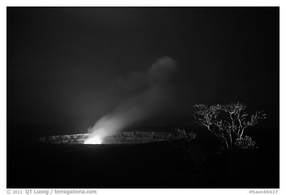 Halemaumau crater vent and Ohia tree by night. Hawaii Volcanoes National Park (black and white)