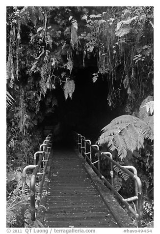 Boardwalk and entrance of Thurston lava tube. Hawaii Volcanoes National Park (black and white)