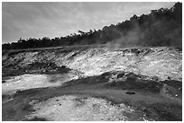 Sulphur deposits and vents (Haakulamanu). Hawaii Volcanoes National Park ( black and white)