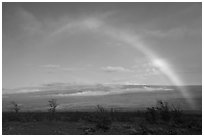 rainbow black and white photography