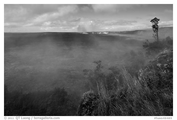 Steam from vents at the edge of Kilauea caldera. Hawaii Volcanoes National Park, Hawaii, USA.