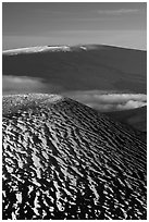 Snowy cinder cone and Mauna Loa summit. Hawaii Volcanoes National Park ( black and white)