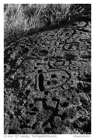 Hardened lava with panel of pecked images. Hawaii Volcanoes National Park (black and white)