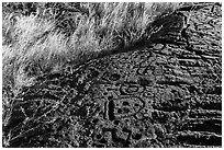 Lava slab covered with petroglyphs. Hawaii Volcanoes National Park, Hawaii, USA. (black and white)