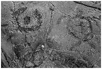Petroglyph detail with human figure and sea turtle. Hawaii Volcanoes National Park, Hawaii, USA. (black and white)